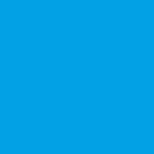 Baby Blue Print