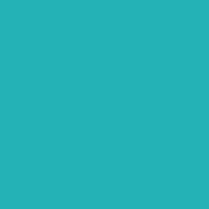 Teal Print