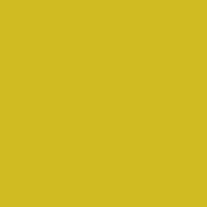 Yellow Print